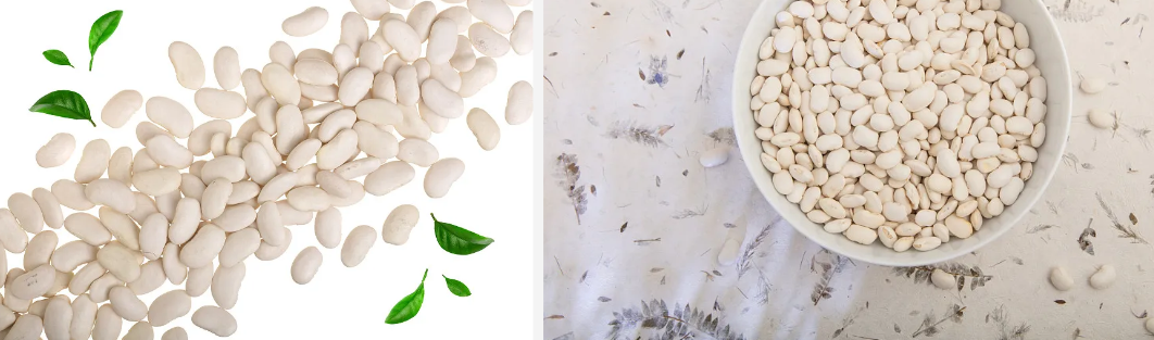 White Kidney Bean Extract Powder.png